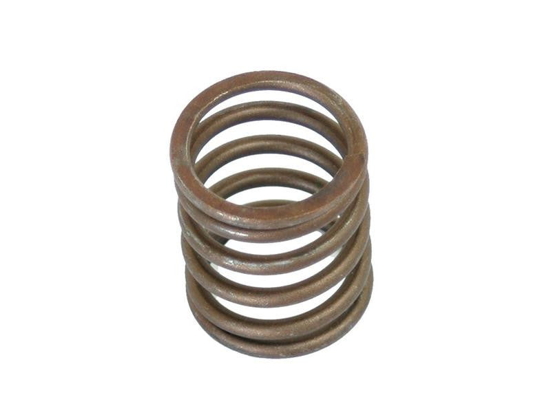 Valve Spring - Outer for Landini & Massey Ferguson Tractors 131745122