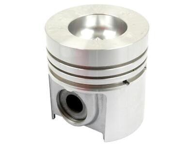 Piston Standard 101.90mm Length 98.42mm Bore Case IH Models 238 258 3210