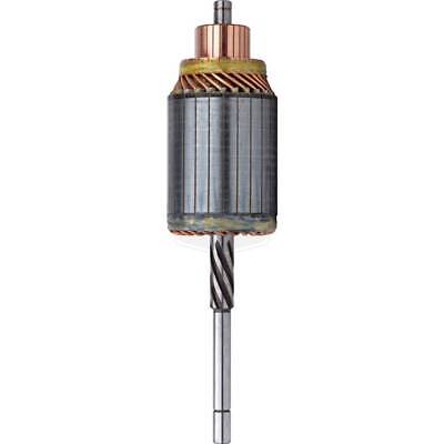 Armature 30MT 12/24V CCW Remanufactured for Various Applications