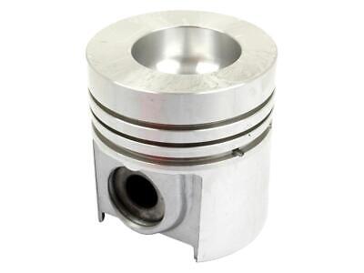 Piston Standard 101.90mm Length 98.42mm Bore for Case IH 1046 1055 1055XL