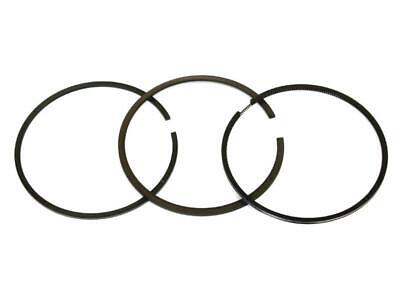 Piston Ring for Ford New Holland 231S Massey Ferguson 231 241 243 451