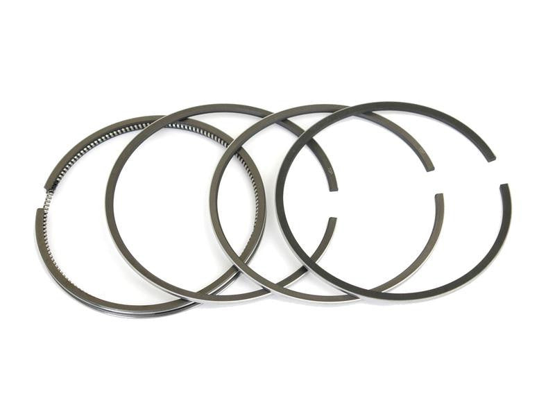 Piston Ring Set for Allis Chalmers, Landini, Massey Ferguson, Perkins