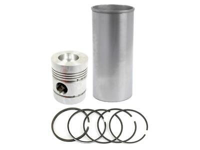 Piston Ring & Liner Kit for Landini 9500, Massey Ferguson 1014, Perkins A6.354