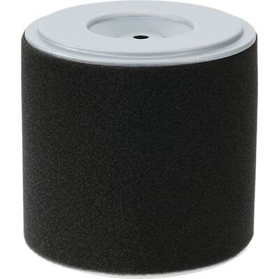 Air Filter Combo for Honda GX270UT2 GX390UT2 FRC800K1 Tiller 17210-Z1C-781