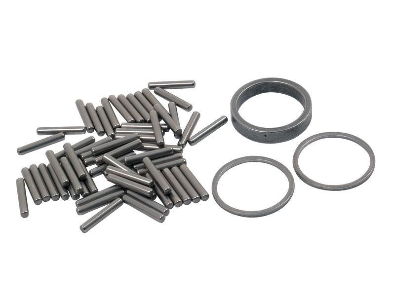Needle Bearing Kit for Landini 5830 & Massey Ferguson Tractors - S.41794