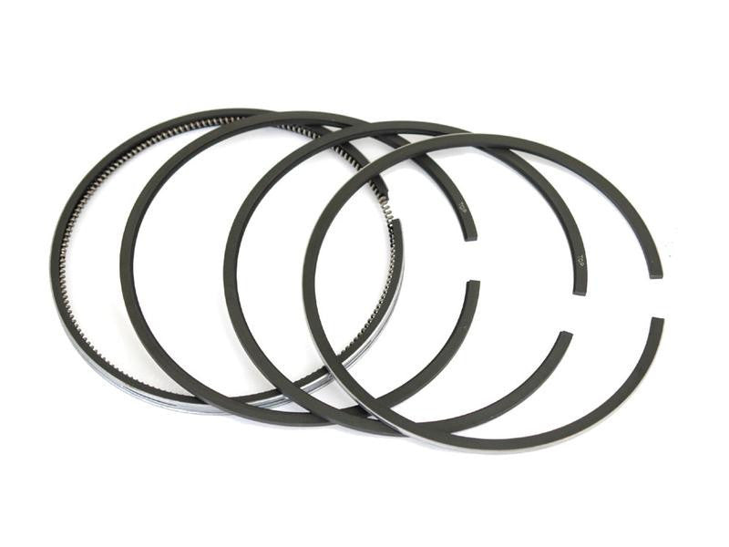 Piston Ring Set for Massey Ferguson 1080 1085 285 592 595 Perkins A4.318