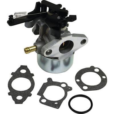 Carburetor for Briggs & Stratton 594287, 799248, Fits Models 111P02, 114P02