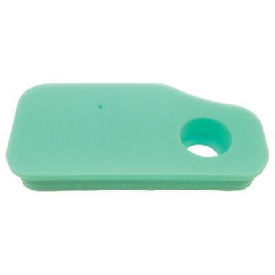 Air Filter for 10-11 HP Vertical Engines, Fits Models 220700, 251700, 270843