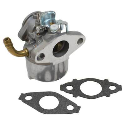 Carburetor for Briggs & Stratton 798917, Fits Multiple Models, 10% Ethanol Max