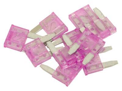 10 Mini Blade Fuses 3.0 Amps Purple Snap Pack - Automotive Fuse Set