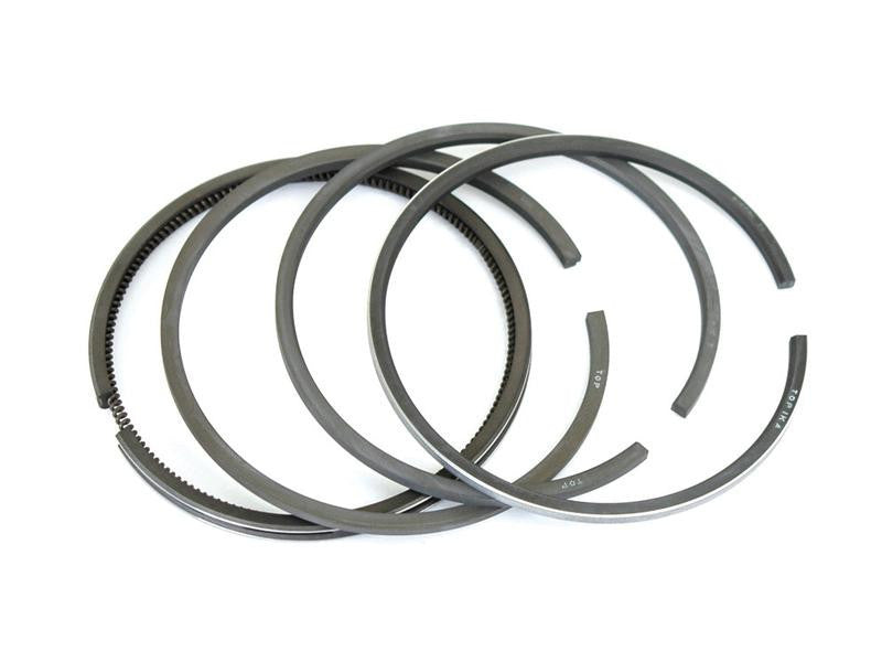 Piston Ring Set for Fiat 411R 415 & White Oliver 1250 1250 DIESEL