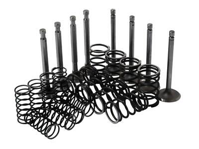 Massey Ferguson Valve Train Kit - Intake & Exhaust Valves + Springs Set